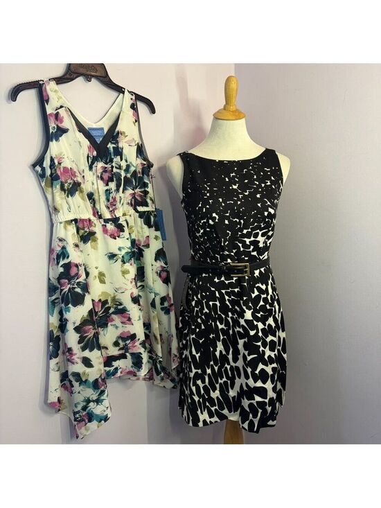 Simply Vera Vera Wang Dresses & Skirts - Ann Taylor & Simply Vera Dresses, NWT, Set of 2, Size 4 Petite/Small Petite